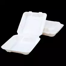 BHC-220-compostable-small-hinged-container-BHC-220-cnpyinc-com-canada (1)