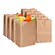 Kraft-Brown-Paper-Bags-2eco-ca-restaurant-supermarket-COFFEE-TEA-SHOP-BACKERY-supply-wholesale-canada